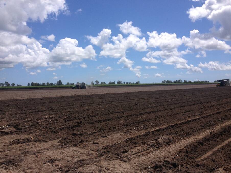DOUBLE UP: Australian Cane Farms has farms in the Burdekin area of North Queensland, utilising two double-row planters which provide more efficient planting. 