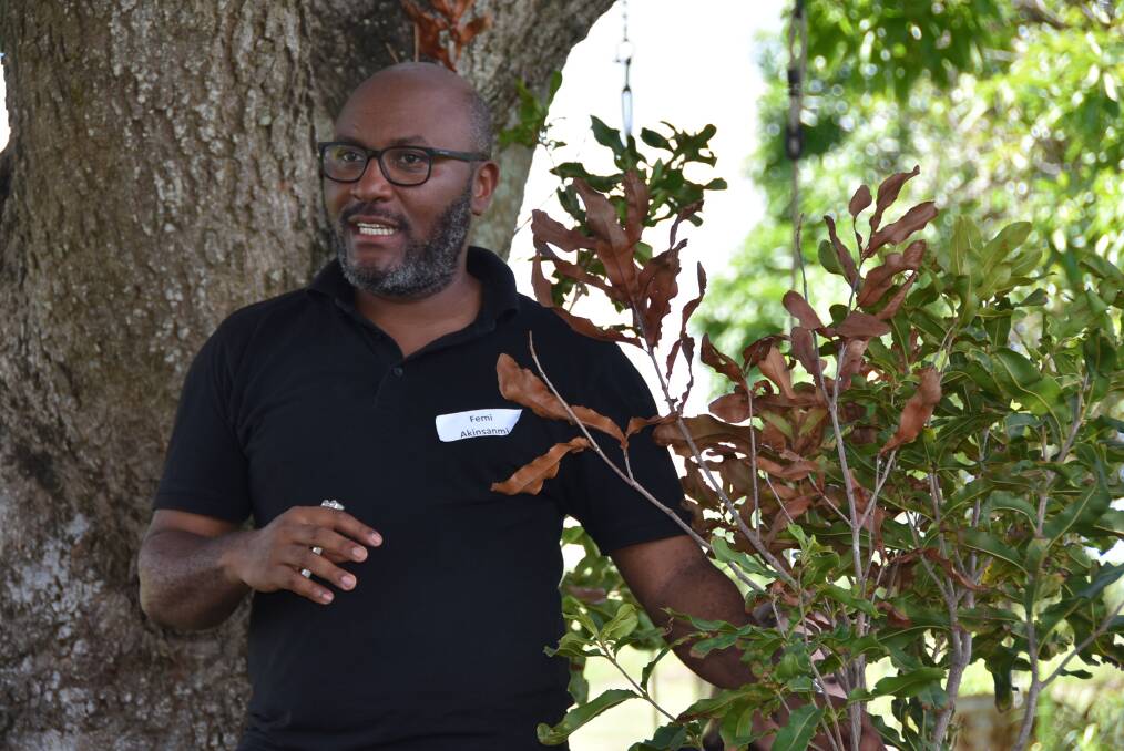 PRACTICAL: University of Queensland's Femi Akinsanmi, tells growers how to identify branch dieback and treat it. 