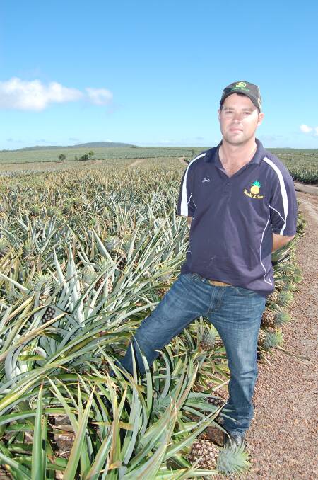 STILL GROWING: Jake Brooks, Brooks and Sons, Bungundarra says the farms have held up well considering they endured Cyclone Marcia last year and then a rain event of 400mm in 48 hours a fortnight ago. 