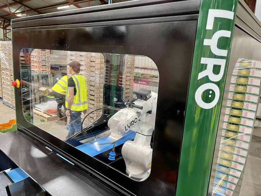 LYRO pairs artificial intelligence (AI) technology with robotic hardware to enable robots to pack fresh fruits and vegetables. Picture supplied