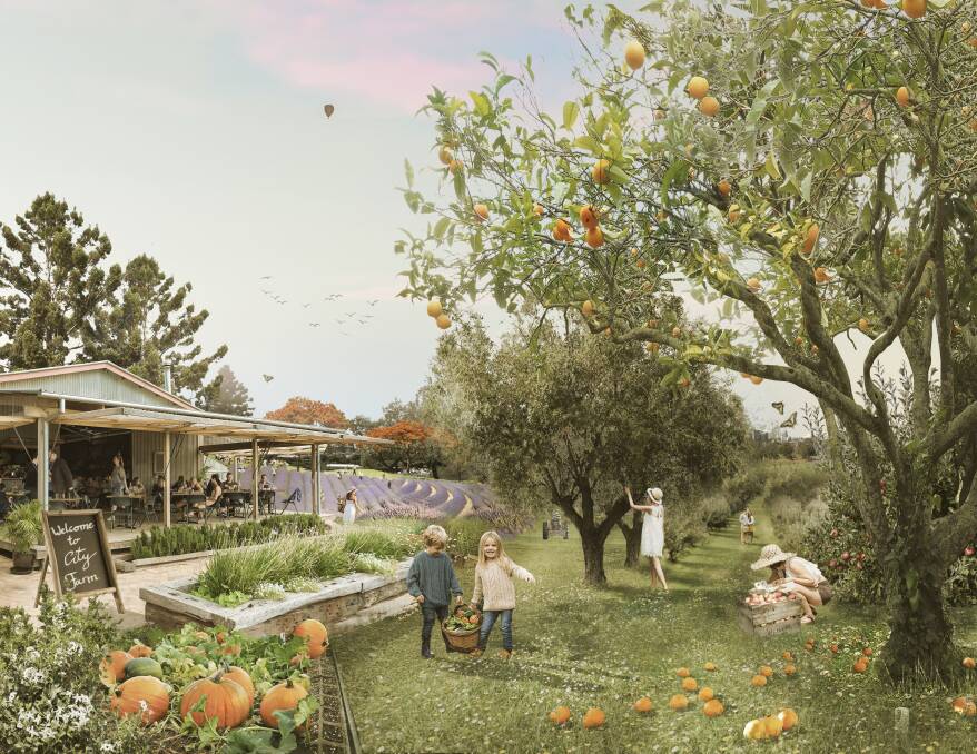 IDEA: An artist's concept of what an urban farm could look like within Brisbane. 