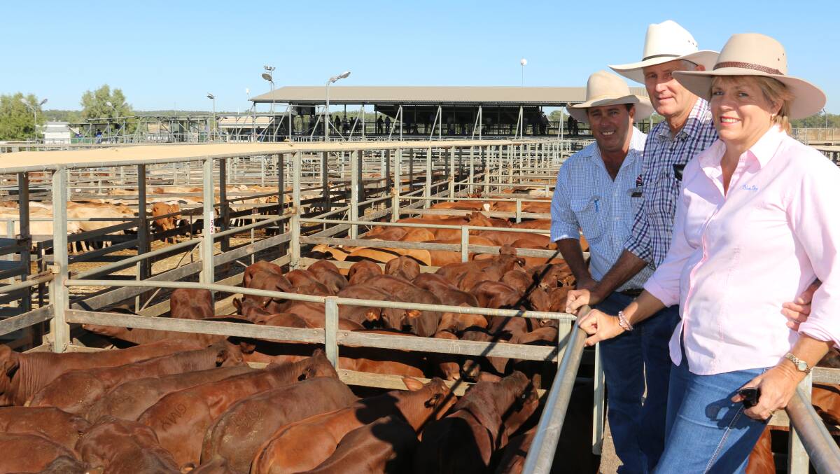 PJH agent Steve Goodhew with Peter and Sue Joliffe, Walhallow, Amby sold Santa steers for 285c/kg at 471kg returning $1345/head.