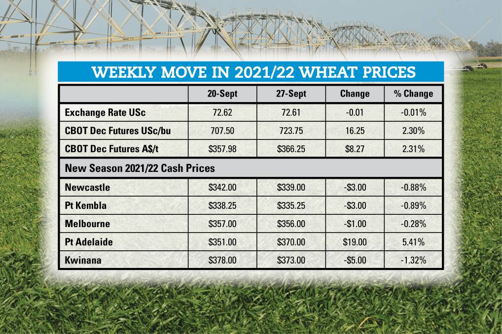 Importers cast net for wheat supplies