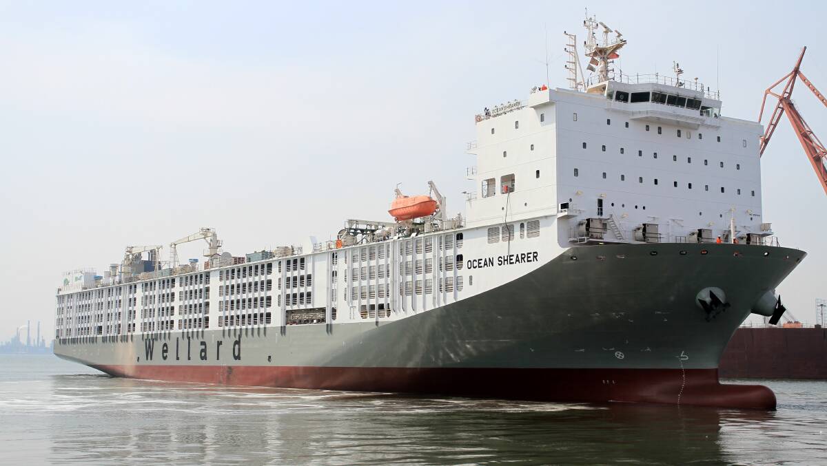 The Ocean Shearer, one of the most modern livestock shipping vessels in the world.

