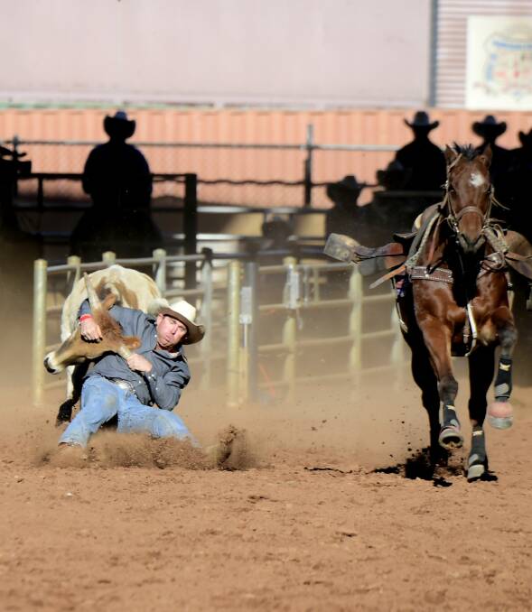 STRON COMPETITIOR: Jamie Reynolds of Clermont is second in 2016-2017 steer wrestling standings. Picture: Dave Ethell