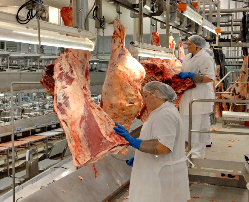 Herd growth throughout 2020-2023 is underpinning current throughput and until such time as the cycle moves once again toward liquidation, average carcase weight will remain high. File picture