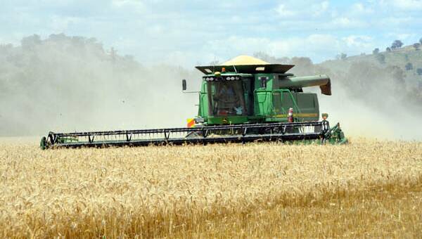 ​Crop forecasts slashed in latest ABARES report​