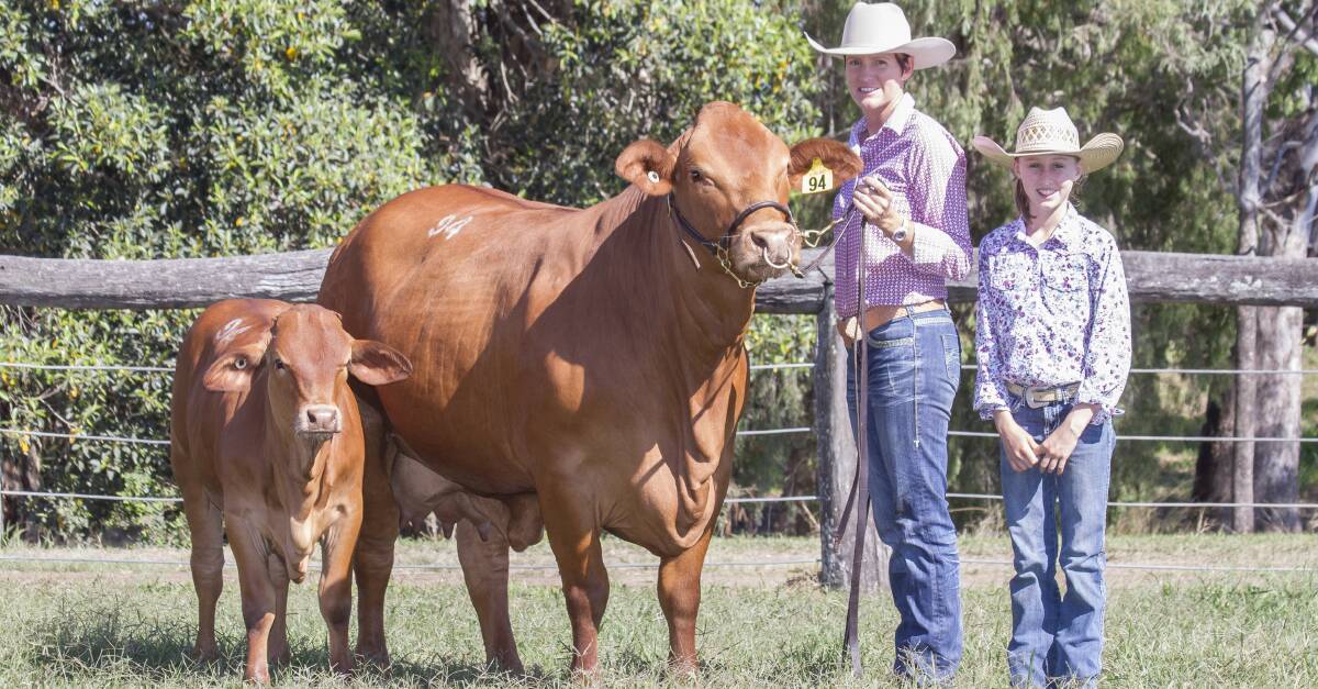 Top selling female was the $10,500 Glenlands D Trinity (P) with vendor Helen and Taylah Childs, Glenlands Stud, Bouldercombe.
