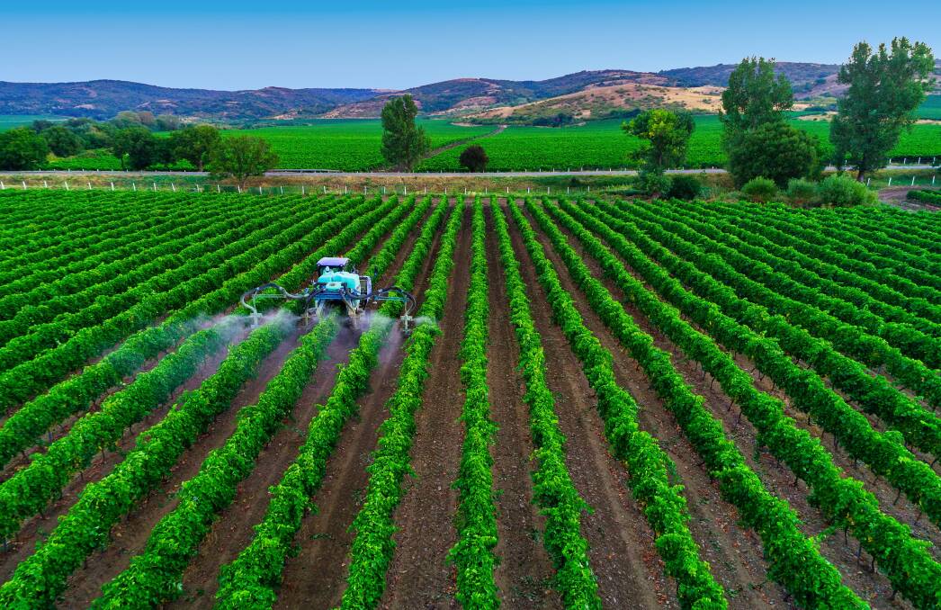 IMPACT: The Green Deal will have major implications within Europe for agricultural production, commodity prices, impact on farmers, cost to the consumer and effect on EU trade policy. Picture: Shutterstock