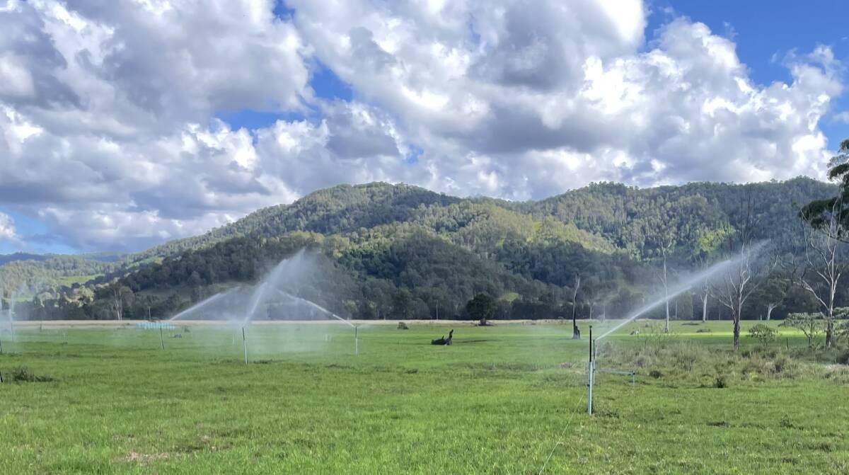 A new irrigation system recommended through the Energy Savers program has paid dividends.