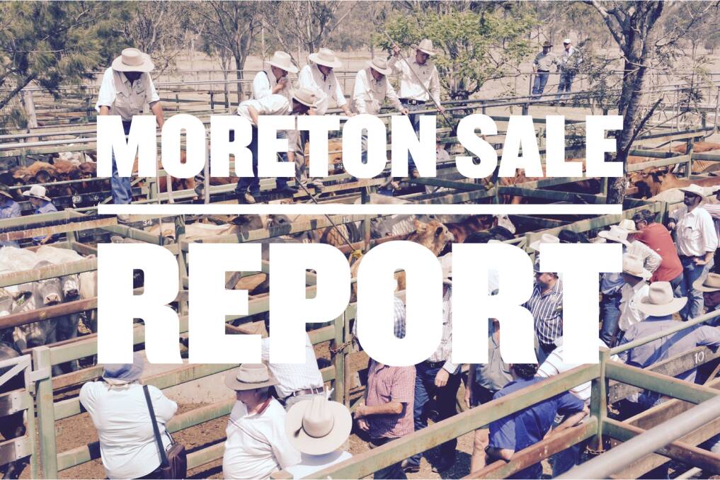 Values for vealers and yearlings remain firm at Moreton