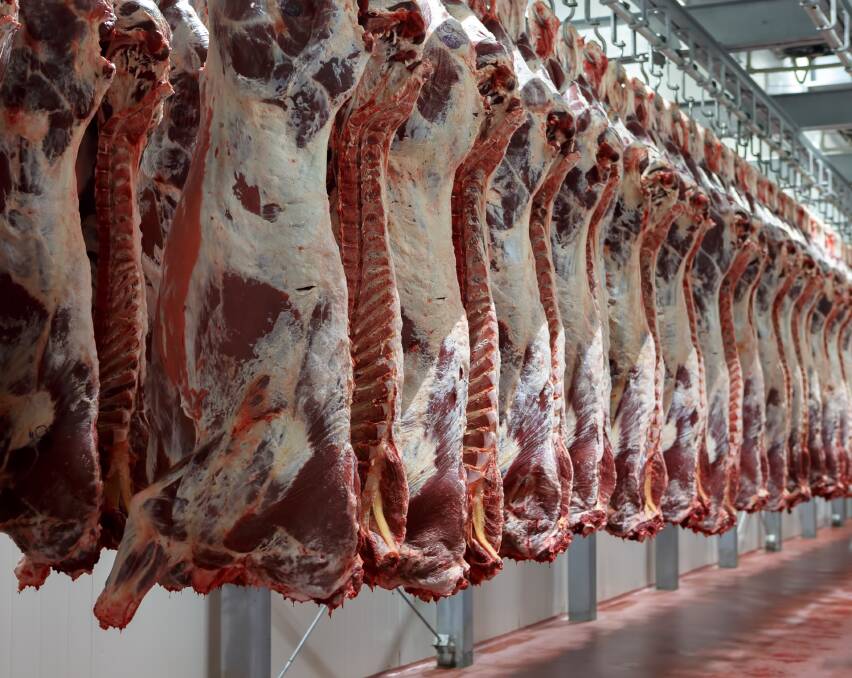 PUNISHMENT: The meat processing plant suspensions seem notable for disproportionate sanction over what appears to be minor administrative shortcomings.