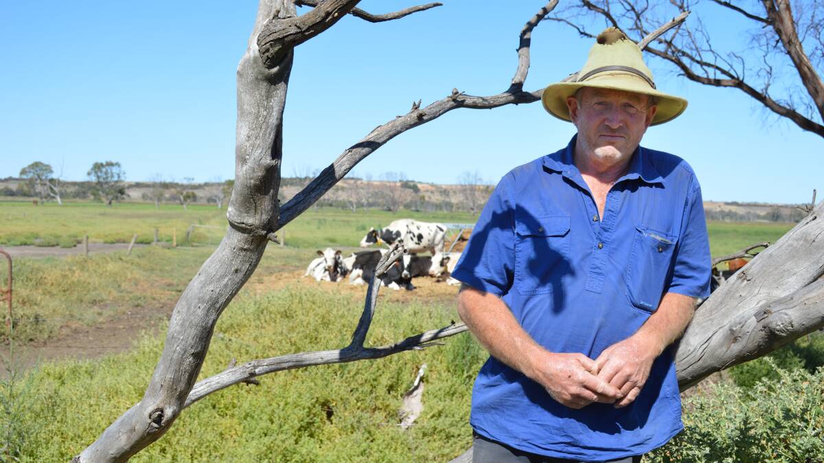 Dairy farmer David Smart, Mypolonga, SA, is about one kilometre from the River Murray and says the flats behind him were under three metres of water until about mid-May. He has only been able to use them again since September. Picture by Elizabeth Anderson 