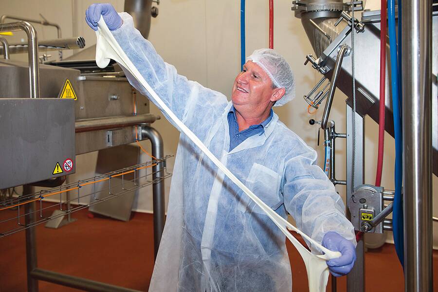 MASTER CHEESEMAKER: Beston Global Foods master cheesemaker Paul Connolly stretches mozzarella at the companys Jervois, SA, plant. 