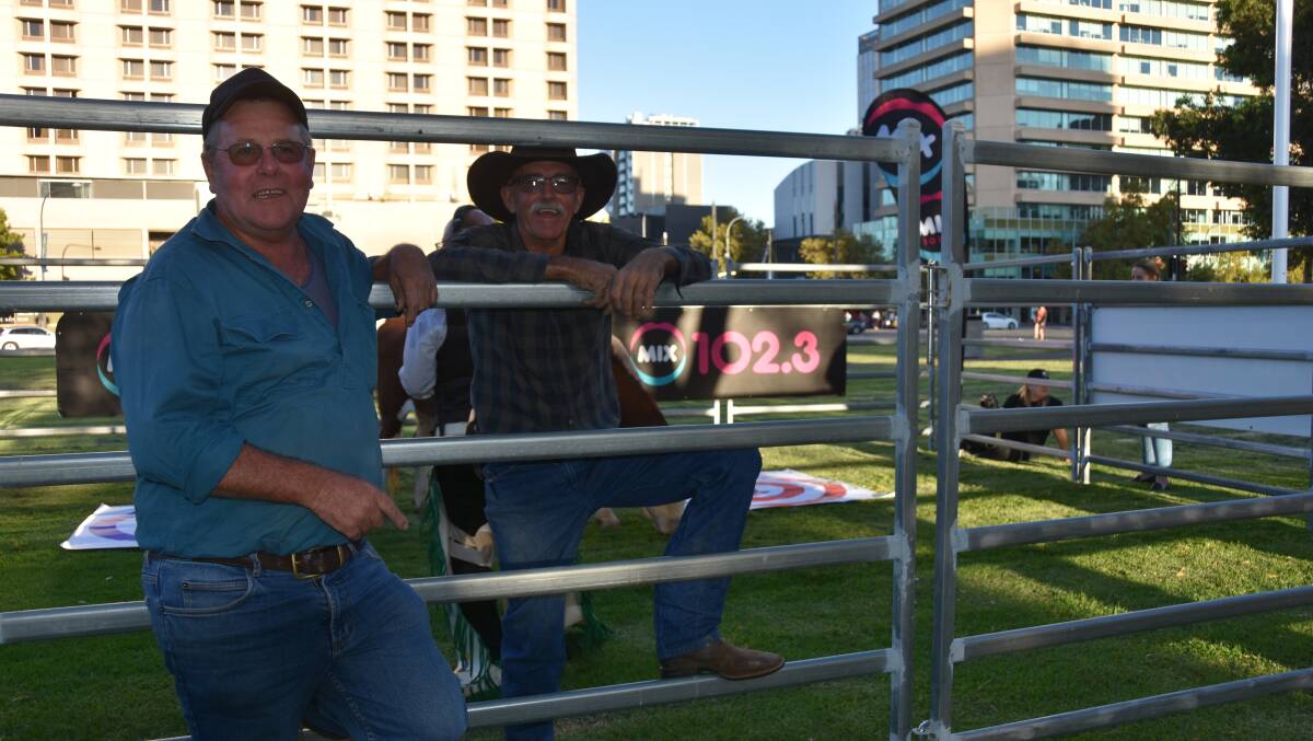 Stockman Richie Hayes and Jim Willoughby, Herd of Hope. The basis of the Herd of Hope cattle come from the Hayes family property, Undoolya, via Alice Springs, NT.