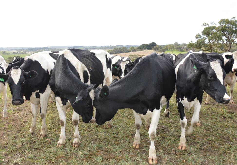 Dairy conference to cover innovative ideas for on-farm