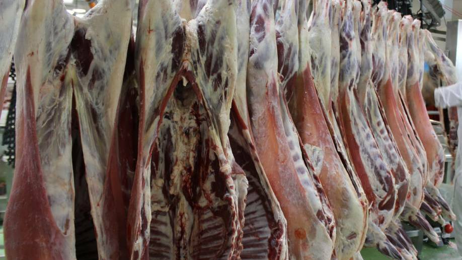 SA abattoir gains approval for reopening