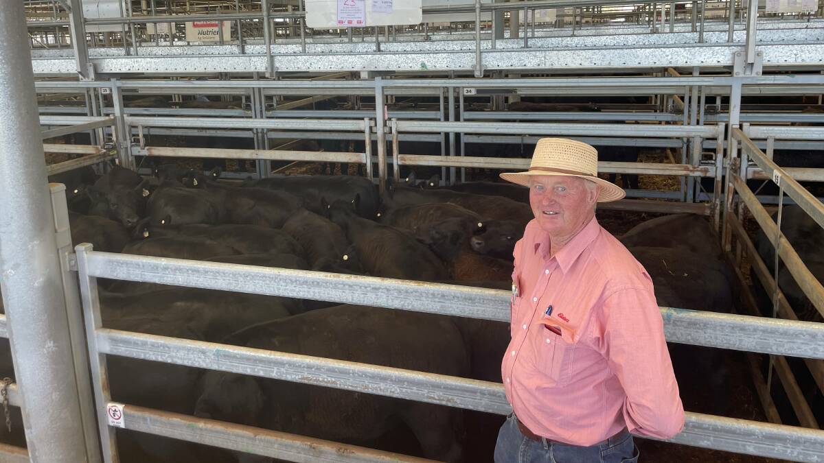 Stephen Streeter, Elders Myrtleford, Victoria, with a pen of 23 Angus steers weighing 411kg that sold for $1255 a head by Rylin Pty Ltd, Bungomwannah, at Wodonga on Wednesday.