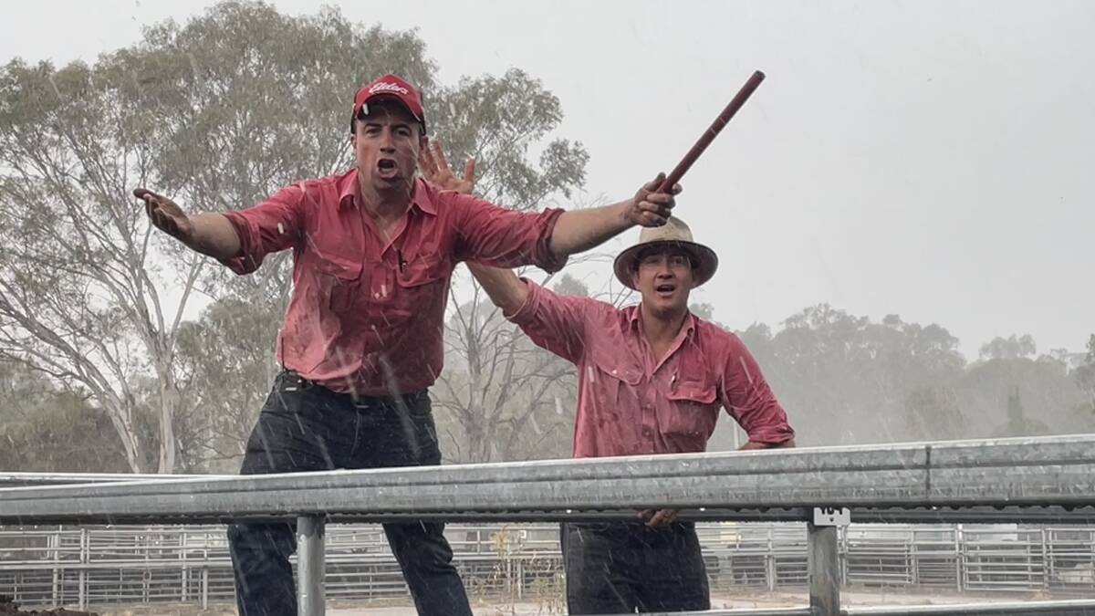 Elders Wodonga agents Oliver Mason and Brett Shae got a drenching selling heifers in the pouring rain at the weaner sale. Picture by Phillipe Perez