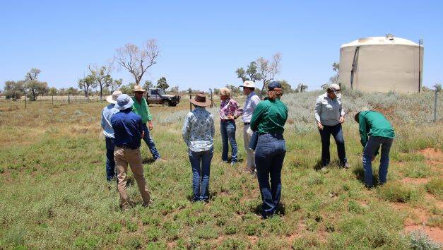 One of NABRC's 11 regional beef research committees touring a property at Jundah, Western Queensland earlier this month. Photo: Supplied