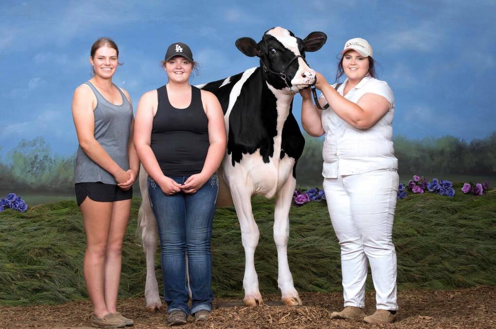 TO MARKET: Leah Orton, Renee Anderson and Katie Anderson with cow Sun Vale Lotus Donna.