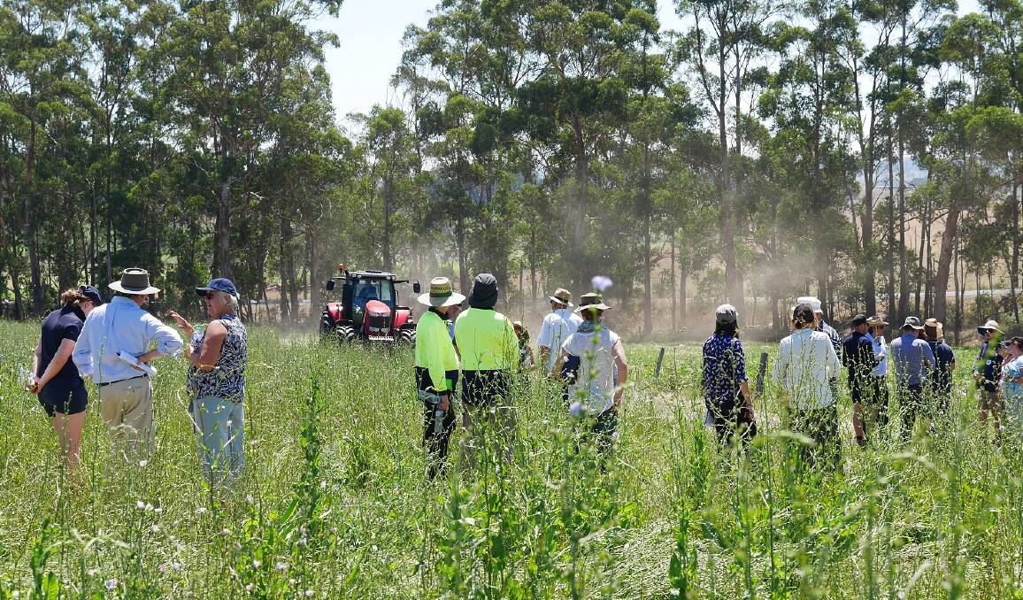 Benefits: Since farmer Niels Olsen, West Gippsland began soil carbon farming he has achieved dry matter yields of double the district average.