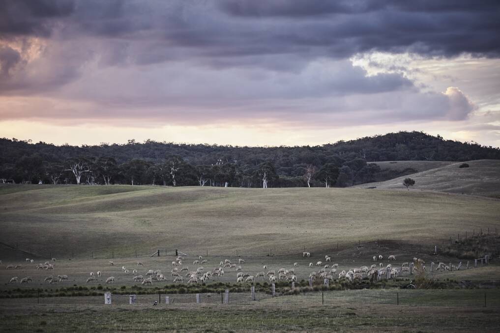 Australian Wool Innovation is the research, development and marketing organisation for the Australian wool industry. AWIs mission is to enhance the profitability of the Australian wool industry and to increase the demand for the natural fibre. 