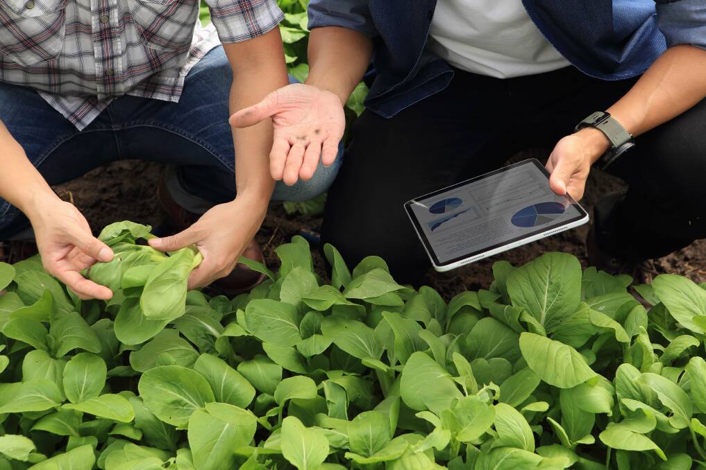 How to digitise your agriculture business online