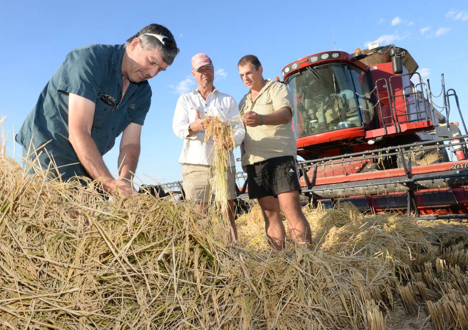 SORT IT OUT NOW: Australian Custom Harvesters boss Rod Gribble, Yenda, NSW (pictured with his brother Chris and backpacker, Christian Heitzer, Bavaria) says grain farmers and harvest contractors need certainty on border crossings as quickly as possible.