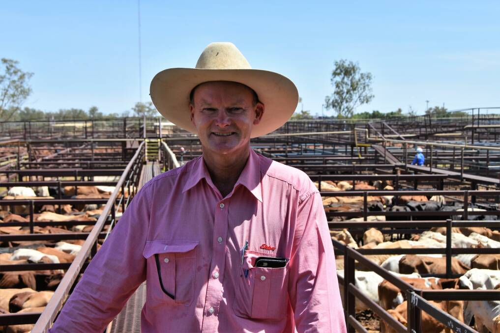 LONGREACH SMILES: Tim Salter, Elders manager at Longreach, helped AACo offload about 5800 composite steers last Friday from its parched Barkly station, Brunette Downs. Landmark is scheduled to sell 2500 steers from the Barkly at Longreach this Friday. 