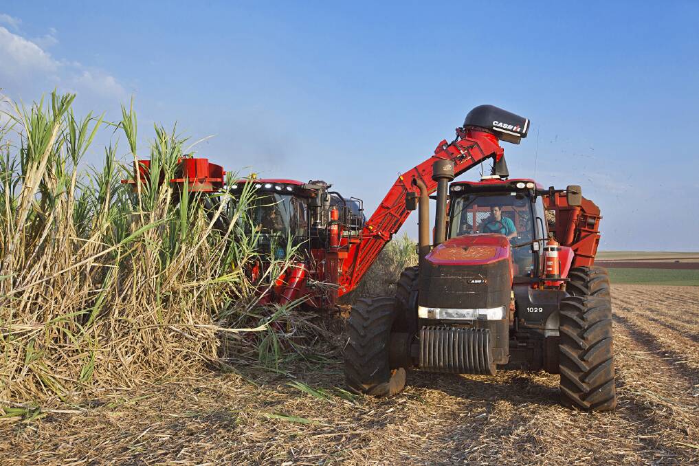 IN ACTION: An Austoft 8810 harvester at work in a cane field.