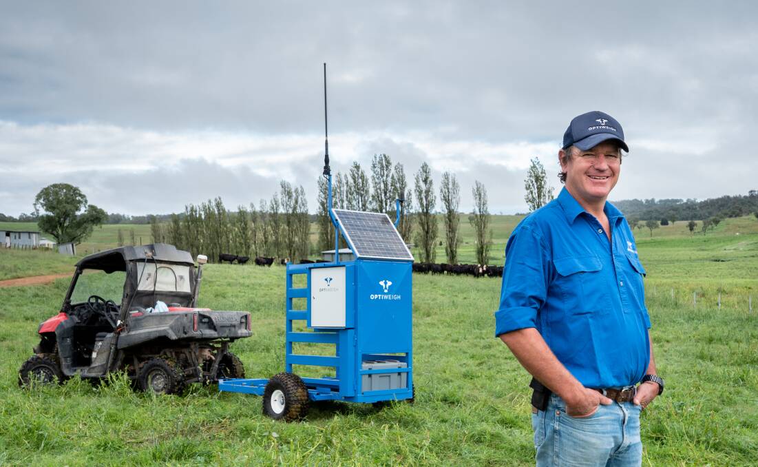 PORTABLE SCALES: The Optiweigh unit, developed by NSW New England beef producer Bill Mitchell, allows the constant monitoring of the weight gains of mobs of cattle without the need to muster the animals into yards. 