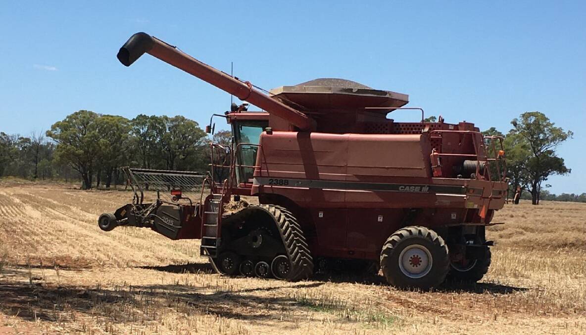 The ATI tracks "at work'' on the Borg family's Case IH 2388 header during the recent bumper grain harvest.