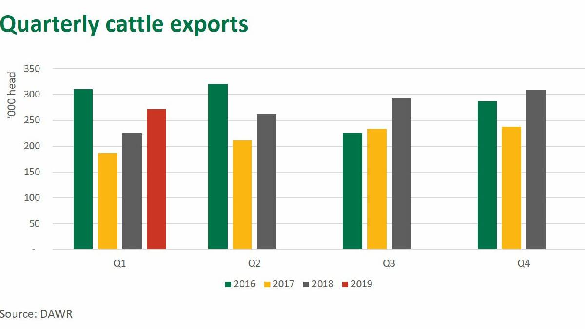 Sharp rise in live cattle exports