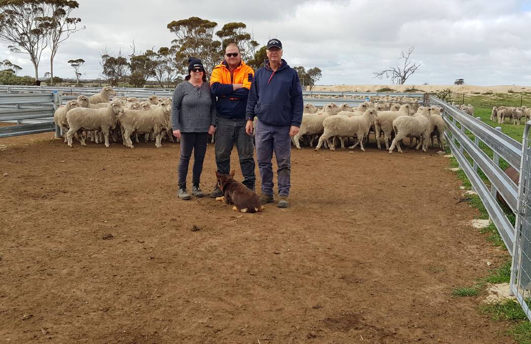 PROFITABLE MERINOS: Jeni, Patrik and Evan Wyatt, and dog,Max, in the yards with some of their Merino ewes.