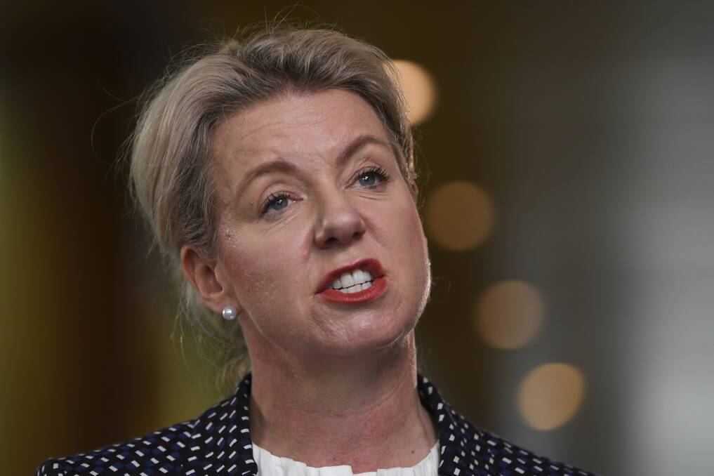 FEEDBACK PLEASE: Federal Agriculture Minister Bridget McKenzie is urging stakeholders to have their say on whether this year's ban on live sheep exports during the northern hemisphere summer will continue. 