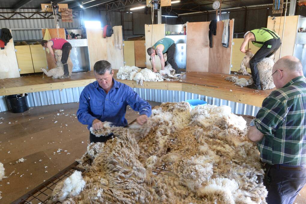 POSITIVE NOTE: The wool market has ended the week by recovering some of the losses sustained during disappointing sales on Wednesday. 