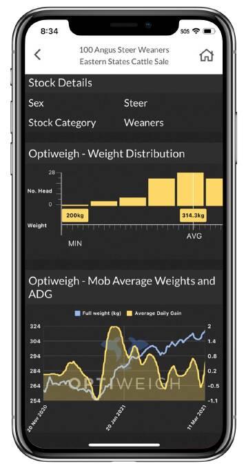 Buyers will be able to access Optiweigh data on weight distribution, mob average weights and average daily gain in real time on their mobile phone.