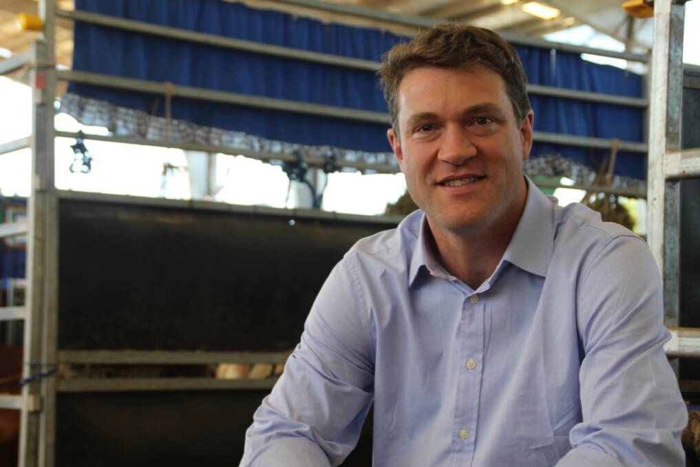 PRICE VOLATILITY: Rabobank's Angus Gidley-Baird predicts volatility in the benchmark eastern young cattle indicator (EYCI) in the next six months if worrying predictions for a lack of rain in winter come true. 