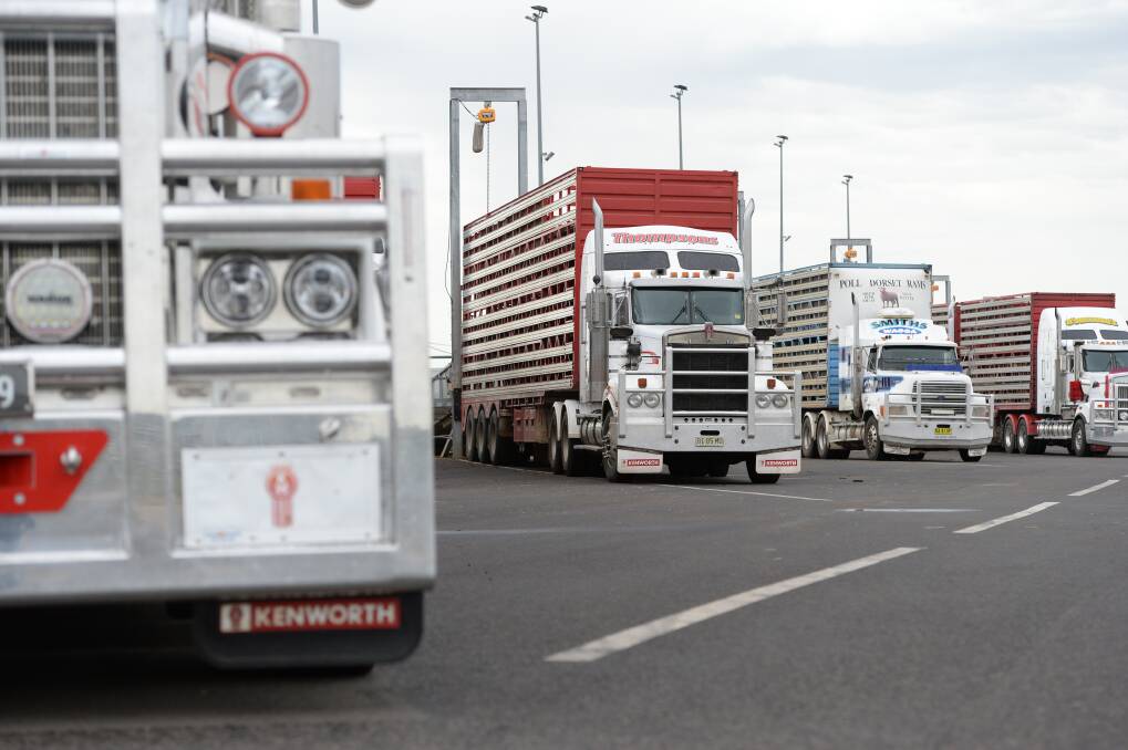 KEEP ON TRUCKING: The road transport sector is gearing up for major growth despite an aging workforce and a shortage of drivers. 