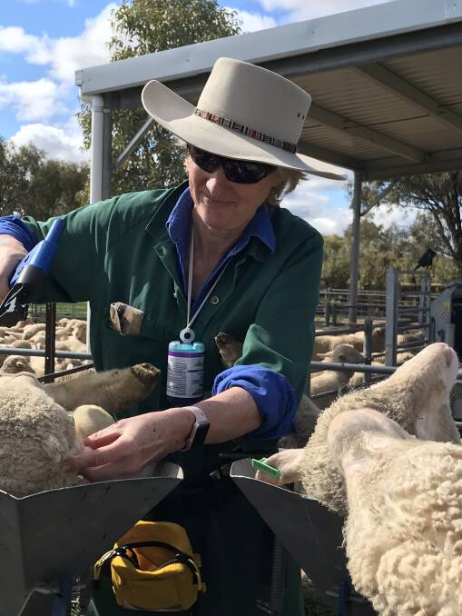 THE FUTURE OF MULESING: Dr Michelle Humphries says uncertainty about the future of surgical mulesing is destabilising the whole industry. 