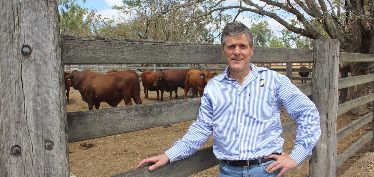 BUILDING THE FUTURE: AgForce CEO Mike Guerin said major spending on roads would reduce food costs and lift farm sector productivity and competiveness. 