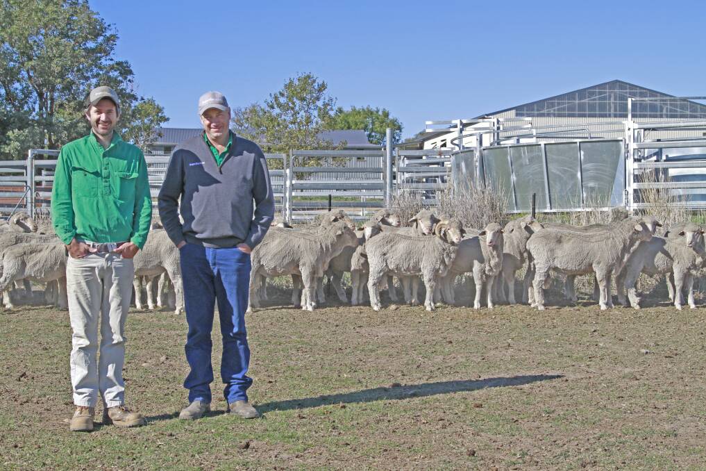 DATA DRIVEN: Will Wragg and Cavan Station and Bogo stud manager, Matt Crozier, with some of the property's Merinos. 