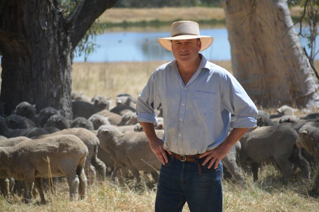 STORY TO TELL: WoolProducers president, Ed Storey, says mandatory pain relief during mulesing will give the industry the chance to better tell its great animal welfare story to consumers.