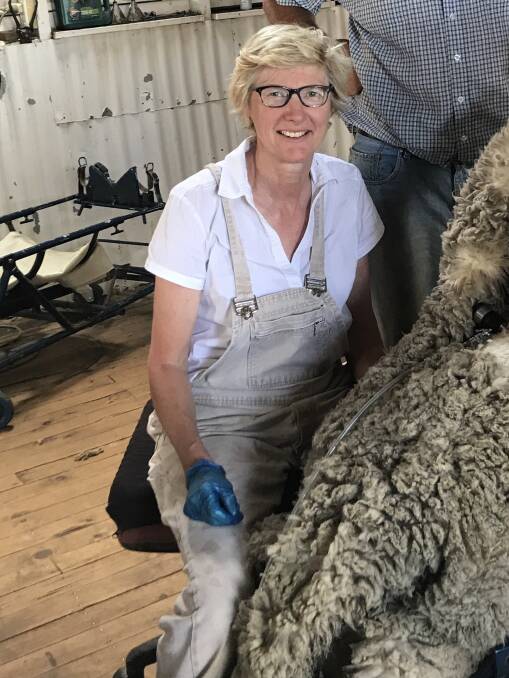 SEND POSITIVE MESSAGES: Michelle Humphries says negative infighting in the Merino industry must end for the sake of wool's future and staff morale within Australian Wool Innovation. 