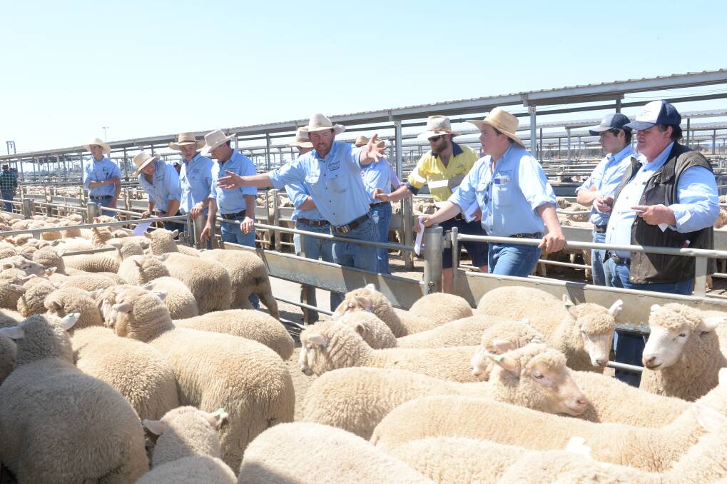 TAKING STOCK: Demand for restocker lambs is high despitr large yardings at saleyards like Forbes where local auctioneer, Luke Whitty, looks for bids. 