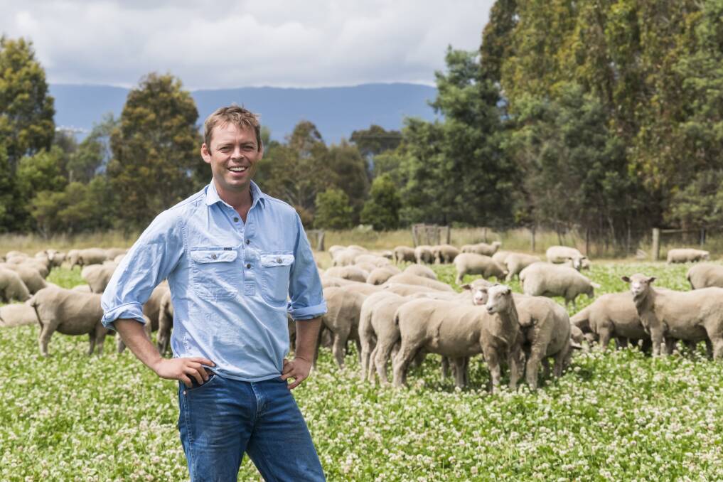 KNEE DEEP IN CLOVER: Tasmanian producer, Scott Colvin, says the new deal to supply premium grassfed lamb to Coles will give him the opportunity to expand his business. 