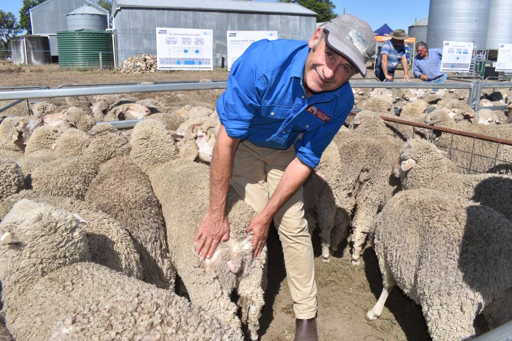 FREEZE THE PROBLEM: Dr John Steinfort, AgVet Innovations, who developed sheep freeze branding as an alternative to surgical mulesing. 