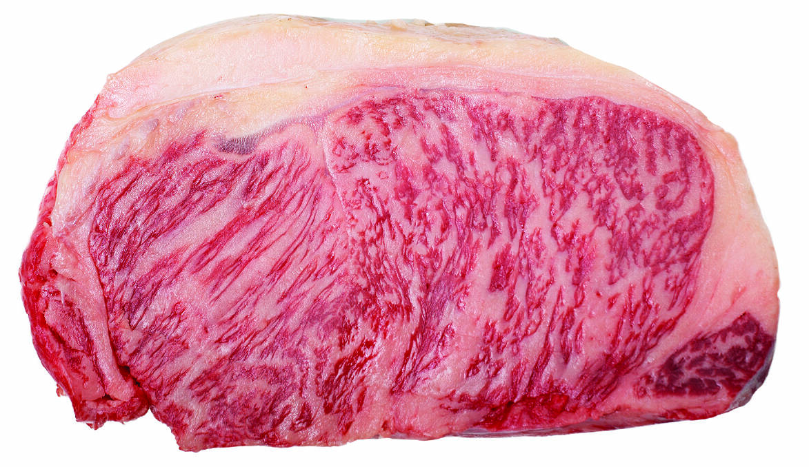 MARBLED HEAVEN: Mayura Station's award wining Signature Series Wagyu branded beef. 