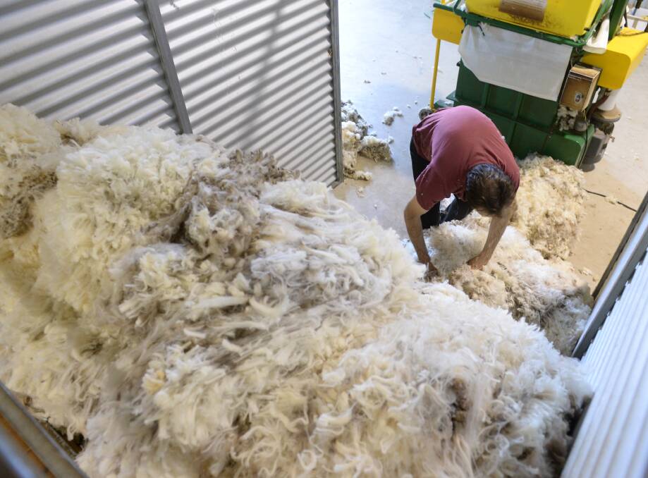 DROUGHT FINE: The ongoing dry weather has caused a spike in production of low-quality, superfine wool which will push down prices in the coming year. 